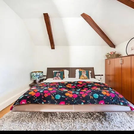 Bonnabel Daire Nancy