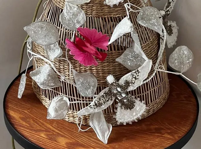 Apartamento Bonnabel